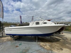 Chris Craft 21 WA - YAMAHA 200hp