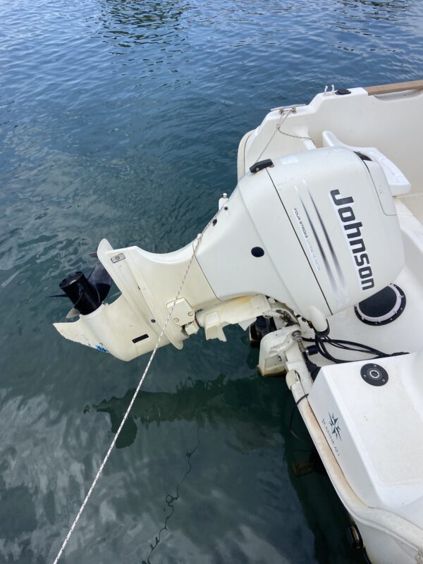 JEANNEAU MERRY FISHER 580 - JOHNSON 70 HP 4T – Image 7