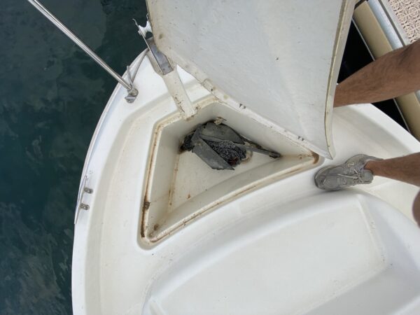 JEANNEAU MERRY FISHER 580 - JOHNSON 70 HP 4T – Image 8